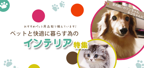 岡山 DIY＆リフォームショップREROOM【ペット特集 滑り止め】